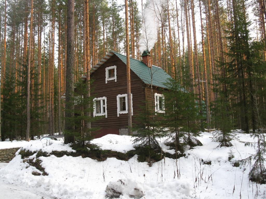 ГОСТИНИЦА HIRVI LODGE ПОСЕЛОК МАТРОСЫ 2* (Россия) - от 6015 RUB | NOCHI